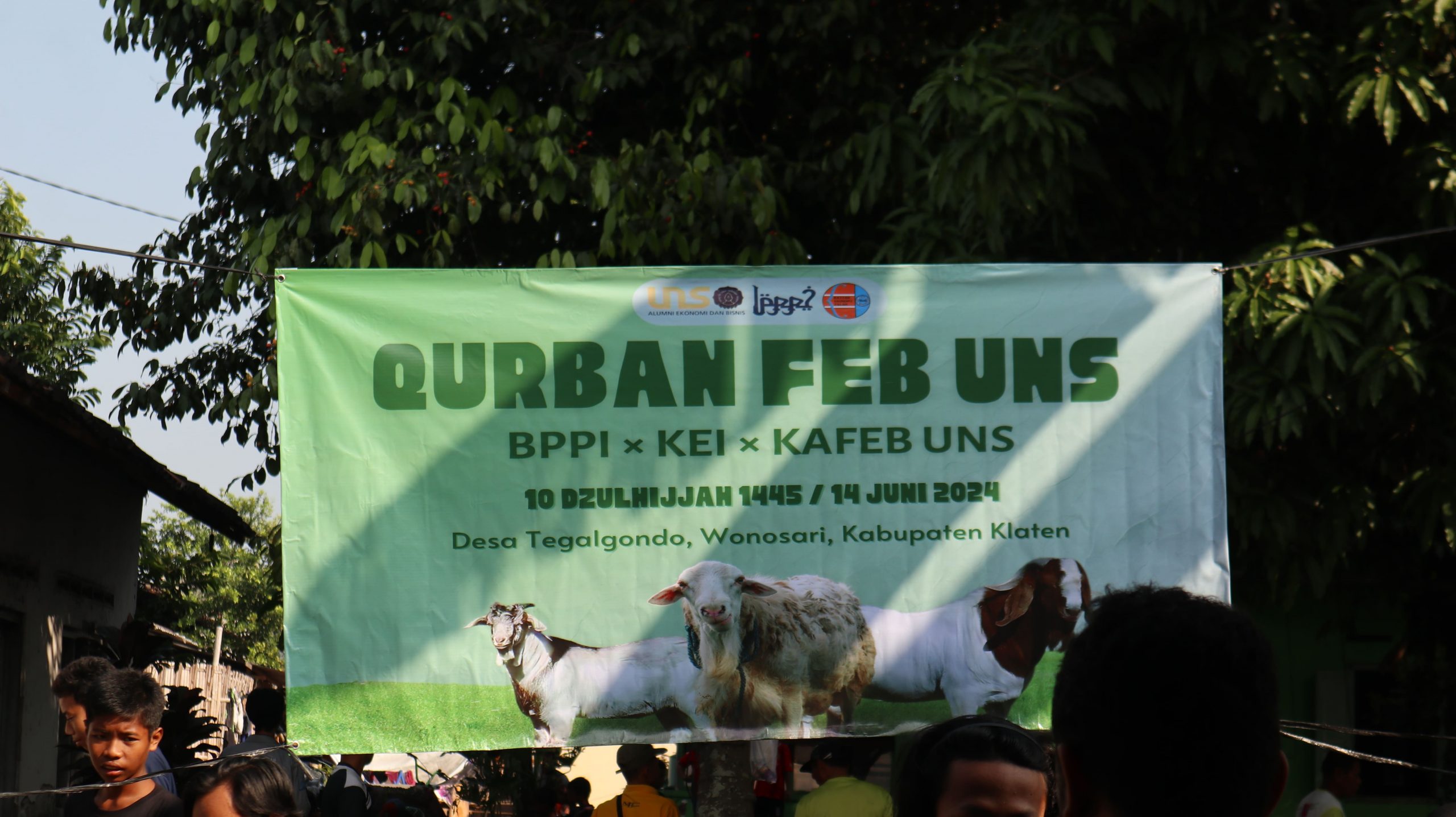 Kolaborasi Mahasiswa FEB dan KAFEB UNS, Kurban 5 Ekor Kambing dan 4 Ekor Domba di Wonosari Klaten