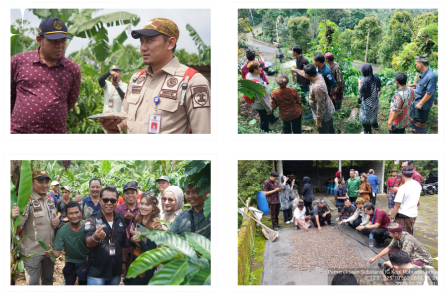 Peneliti UNS Perkuat Perlindungan Indikasi Geografis bagi Kopi Robusta Lemukih